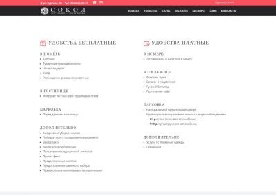 Создание сайта гостиницы Сокол в Сорочинске